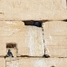 temple_habu_lux_h_0130_egy2328.jpg
